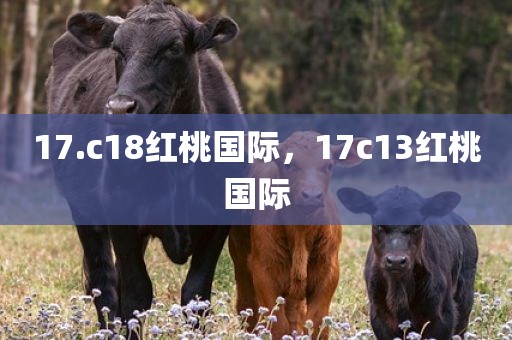 17.c18红桃国际，17c13红桃国际