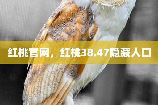 红桃官网，红桃38.47隐藏人口