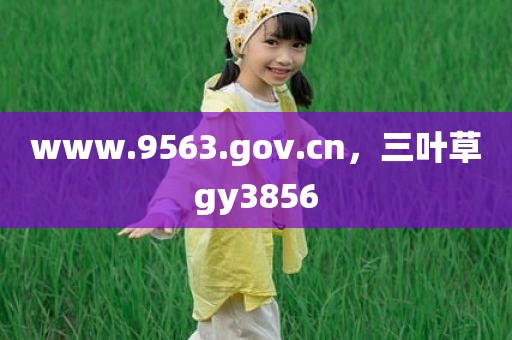 www.9563.gov.cn，三叶草gy3856