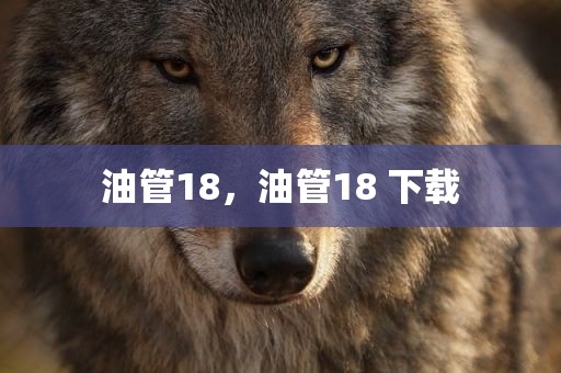 油管18，油管18 下载