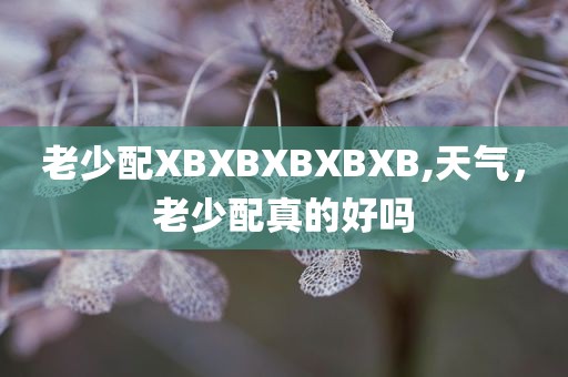 老少配XBXBXBXBXB,天气，老少配真的好吗