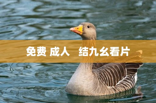 免费 成人   结九幺看片