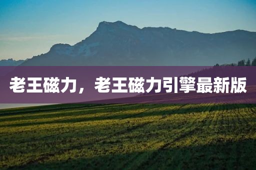 老王磁力，老王磁力引擎最新版