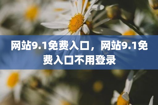 网站9.1免费入口，网站9.1免费入口不用登录