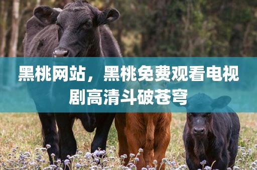 黑桃网站，黑桃免费观看电视剧高清斗破苍穹