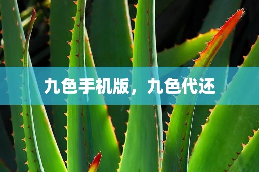 九色手机版，九色代还