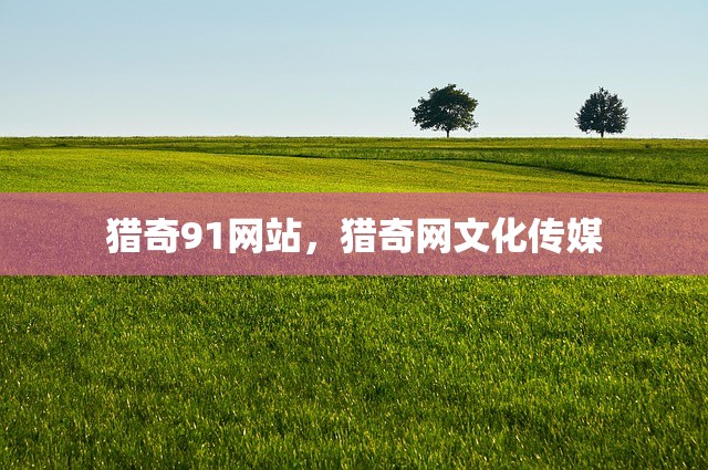 猎奇91网站，猎奇网文化传媒
