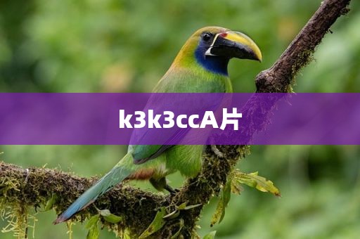 k3k3ccA片