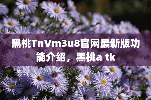 黑桃TnVm3u8官网最新版功能介绍，黑桃a tk