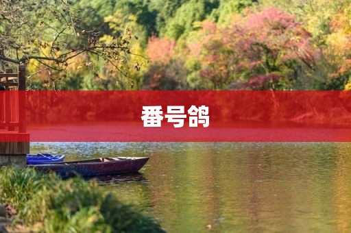 番号鸽