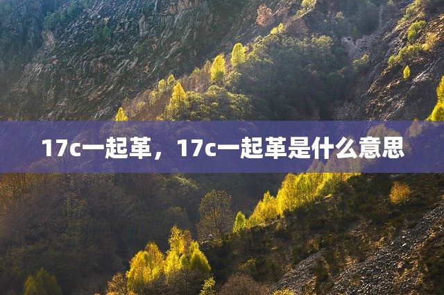 17c一起革，17c一起革是什么意思