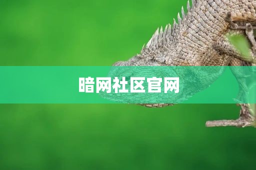 暗网社区官网