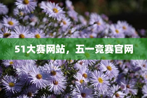 51大赛网站，五一竞赛官网