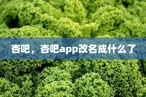 杏吧，杏吧app改名成什么了