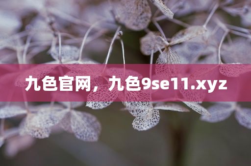 九色官网，九色9se11.xyz