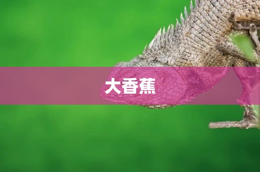 大香蕉