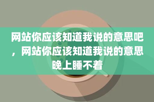 网站你应该知道我说的意思吧，网站你应该知道我说的意思晚上睡不着