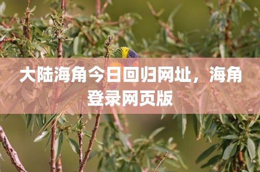 大陆海角今日回归网址，海角登录网页版