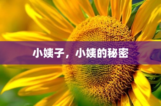小姨子，小姨的秘密