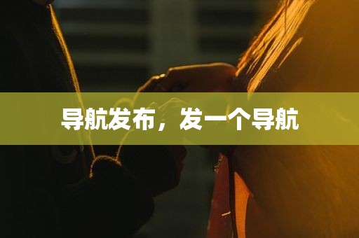 导航发布，发一个导航