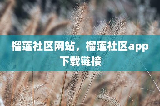榴莲社区网站，榴莲社区app下载链接