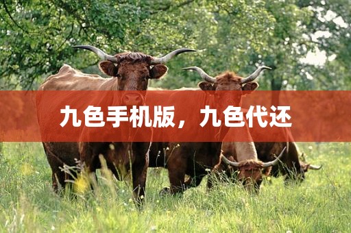 九色手机版，九色代还