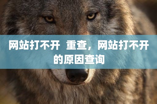 网站打不开  重查，网站打不开的原因查询