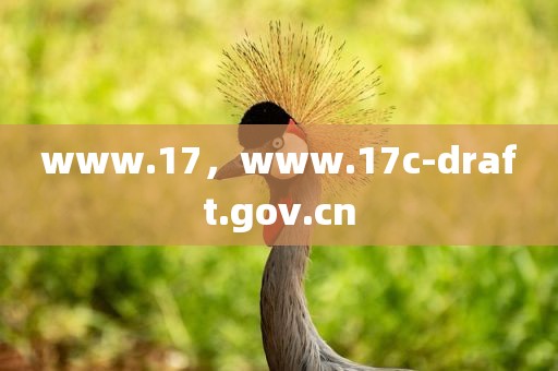 www.17，www.17c-draft.gov.cn
