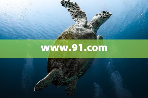 www.91.com