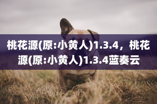 桃花源(原:小黄人)1.3.4，桃花源(原:小黄人)1.3.4蓝奏云