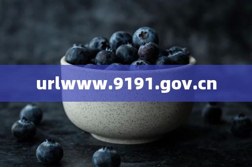 urlwww.9191.gov.cn