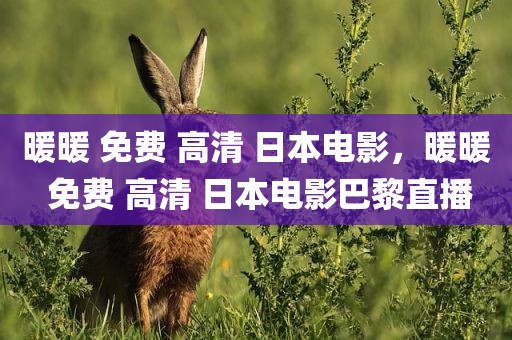 暖暖 免费 高清 日本电影，暖暖 免费 高清 日本电影巴黎直播