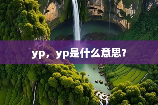 yp，yp是什么意思?