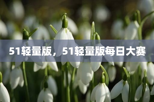 51轻量版，51轻量版每日大赛