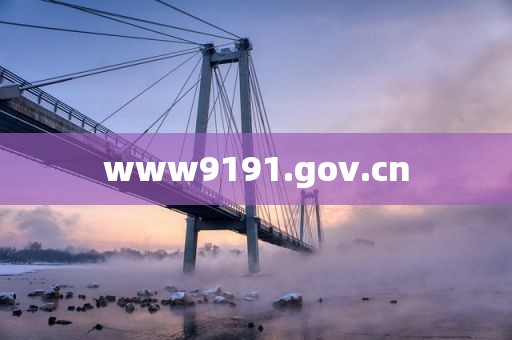 www9191.gov.cn
