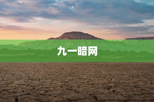 九一暗网
