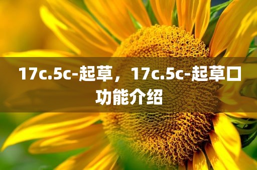 17c.5c-起草，17c.5c-起草口功能介绍