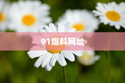 91爆料网址