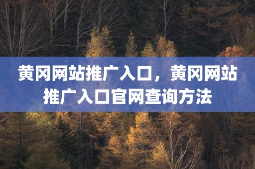 黄冈网站推广入口，黄冈网站推广入口官网查询方法