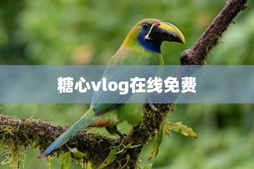 糖心vlog在线免费