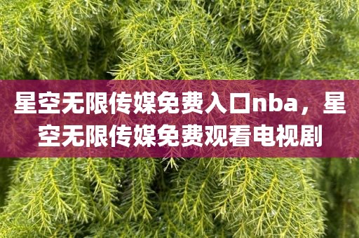 星空无限传媒免费入口nba，星空无限传媒免费观看电视剧