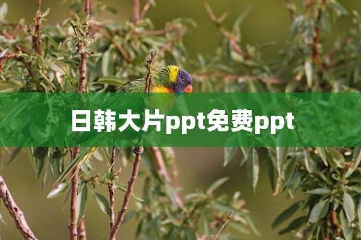 日韩大片ppt免费ppt