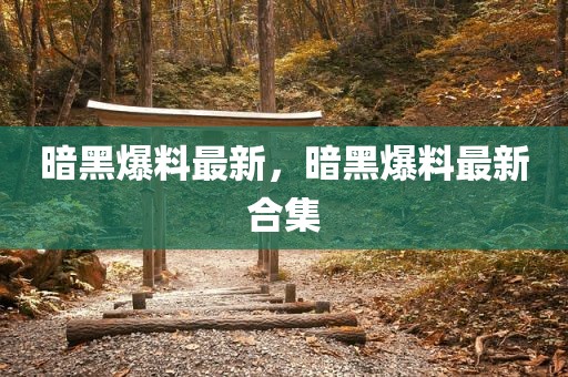 暗黑爆料最新，暗黑爆料最新合集