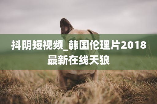 抖阴短视频_韩国伦理片2018最新在线天狼