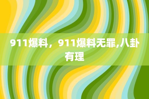 911爆料，911爆料无罪,八卦有理