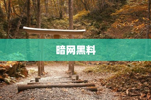 暗网黑料