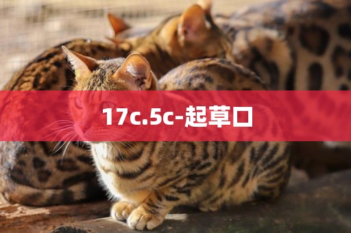 17c.5c-起草口