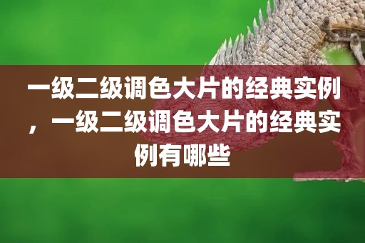 一级二级调色大片的经典实例，一级二级调色大片的经典实例有哪些