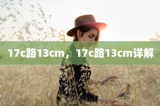 17c路13cm，17c路13cm详解