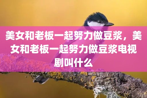 美女和老板一起努力做豆浆，美女和老板一起努力做豆浆电视剧叫什么